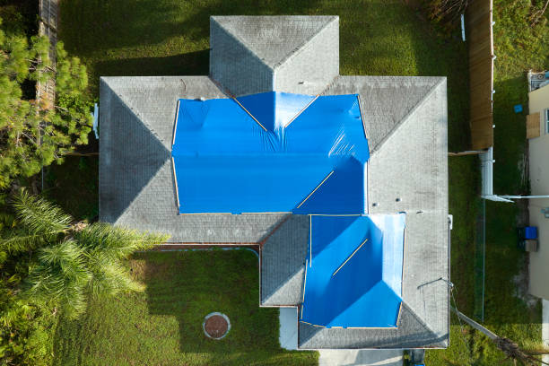 Best Roof Insulation Installation  in Inglewood, CA
