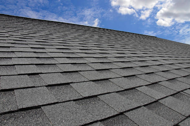 Best Skylight Installation and Repair  in Inglewood, CA